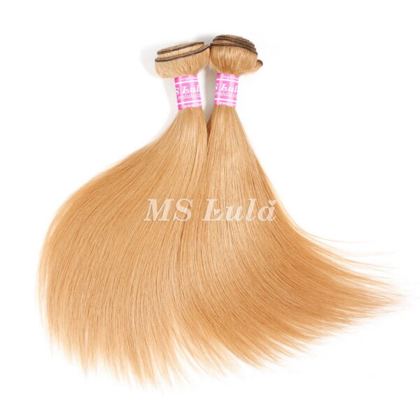 Virgin Colored Natural Straight Brazilian Human Hair Bundles - Image 4